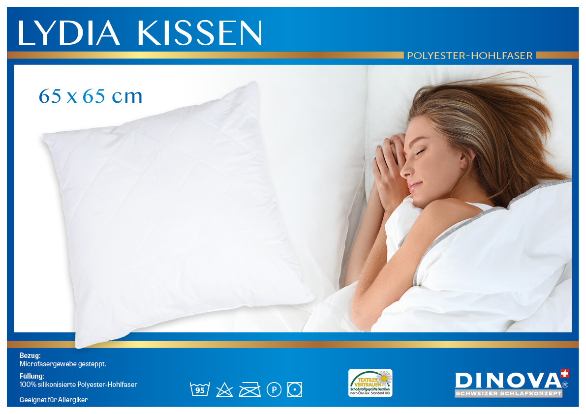 moebelsparadies Kissen Lydia Synthetisch 65 x 65 cm