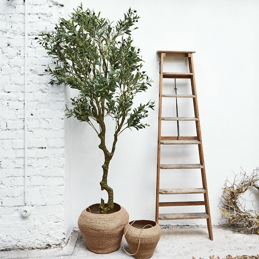 Deko Topfpflanze Dambly 