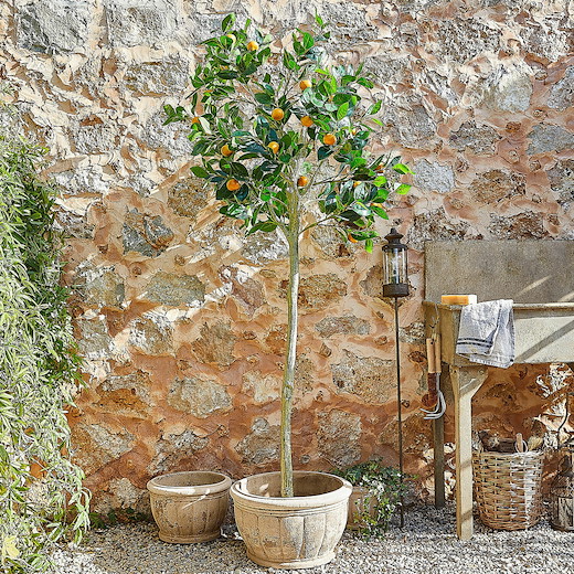 Deko Pflanze Delbart 